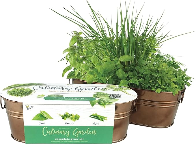 BUZZY Organic Windowsill Grow Kit, Copper Culinary Garden: Basil, Cilantro, and Chives, Best Gardening Gifts, Parties, Unique, Growth Guaranteed, Herb Starter Kit, Seed Kit, Grow Your Own Herbs