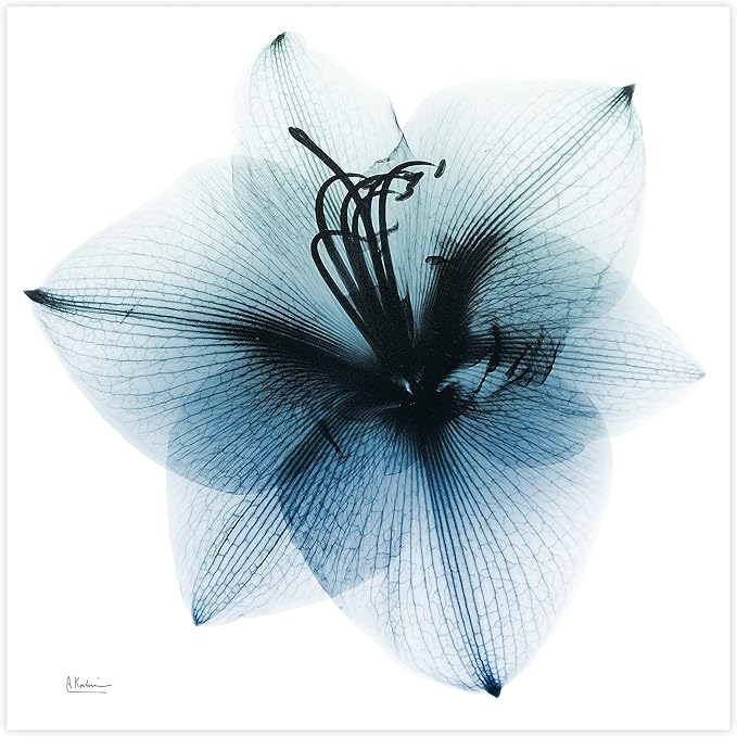 Empire Art Direct Frameless Free Floating Tempered Glass Panel Graphic Wall Art Ready to Hang, 38" x 38", Glacial Amaryllis