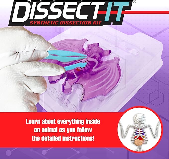 Dissect-It Simulated Synthetic Lab Dissection Toy, STEM Projects for Kids, Animal Science, Biology, and Anatomy Home Learning Kit, Bat