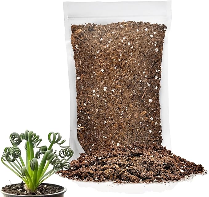 Gardenera Premium Albuca Spiralis Potting Soil Mix - Perfect Balance of Nutrients, Drainage, and Aeration for Thriving Blooms - 3 Quart
