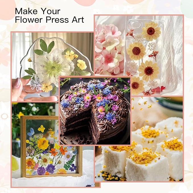 Extra Large Flower Press Kit 10.8 x10.8 inches with Storage Bag, DIY Arts and Craft Kit 10 -Layers, Ideal Gift for Flower & Plant Lovers