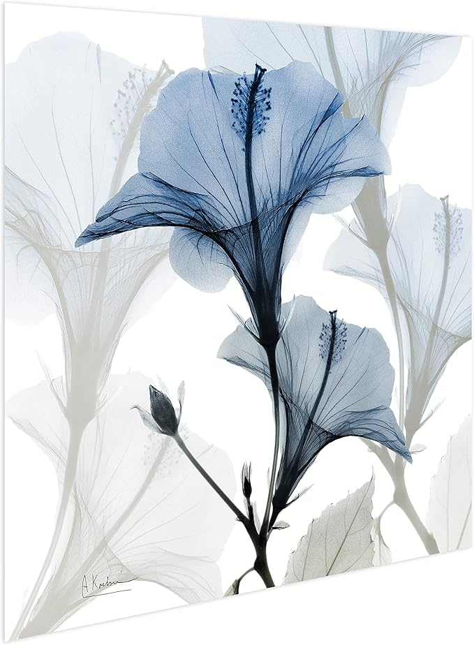 Empire Art Direct Frameless Free Floating Tempered Glass Panel Graphic Wall Art Ready to Hang, 24" x 24", Blue X-ray Floral, Flower wall art
