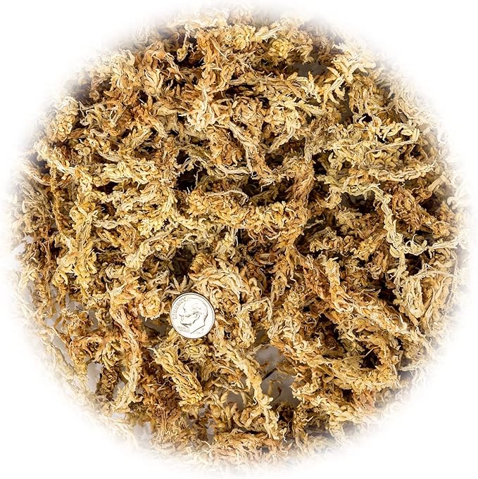 Premium Grade Sphagnum Moss by Gardenera - 10 Quart - Organic Hand Mixed New Zealand Long Fibered Sphagnum Moss Orchid - 2 Bags of 5 Quart