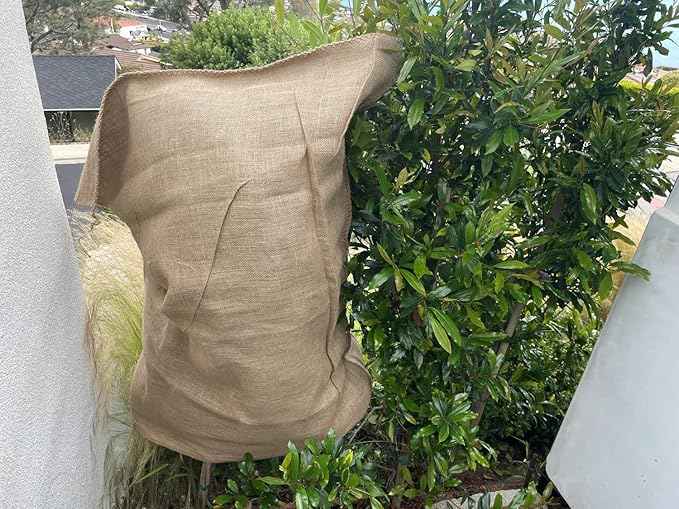 Burlap Bags 22" x 36" - Great for Planting/Gardening - Kids Sack Bag - Plant Covers - Sacks Burlap by Sandbaggy (1 Bag)