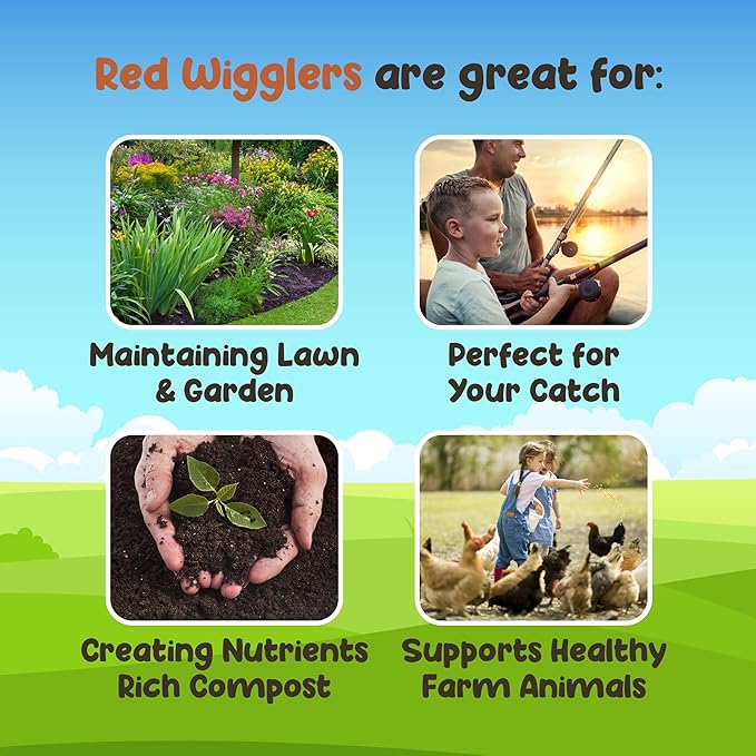 Red Wigglers Composting Worms - 1/2lb Red Worms for Composting Bin, for Plants or Gardening, Compost Worm for Soil Fertility & Worm Farm, Easy to Manage