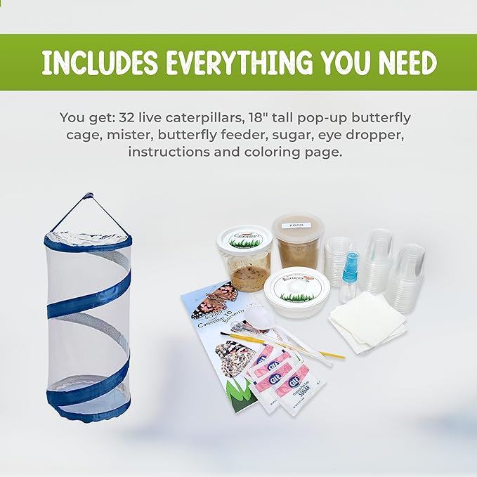 Nature Gifts Live Butterfly Kit - School-Sized Educational Experience with 32 Painted Lady Caterpillars - Pop-Up Cage, and Comprehensive Rearing Supplies for Classroom Engagement, 32 Small Cups