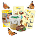 Insect Lore Cup of Caterpillars - 5 Live Painted Lady Caterpillars with Food - Refill for Butterfly Garden Kit - Stickers & Chrys-A-Lid Holding Log Included - STEM Learning Activity