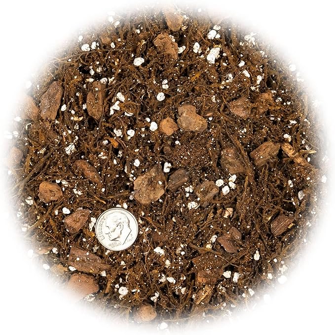 Premium Gardenera House Plant Potting Mix | Fern + New Zealand Bark + Perlite | Great for Pothos, Spider Plants, Montsera, Philodendron, English Ivy - 1 Quart Bag
