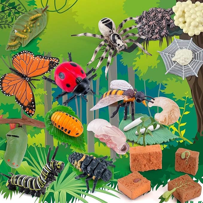 20 PCS Insect Animal Life Cycle Model Figure Plant Spider Bee Butterfly Figurines Ornament Cake Toppers Party Favors Supplies Cognitive Toy for Boys Girls Kids