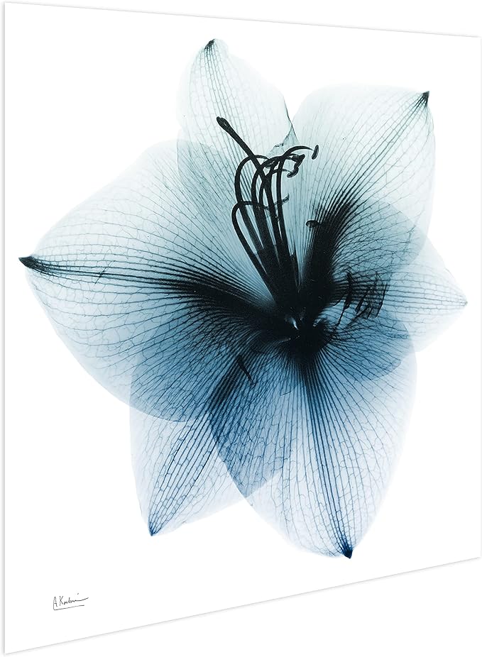 Empire Art Direct Frameless Free Floating Tempered Glass Panel Graphic Wall Art Ready to Hang, 38" x 38", Glacial Amaryllis