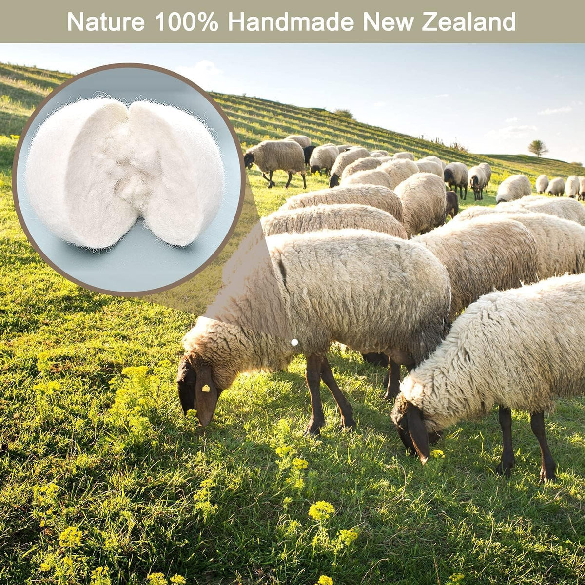 Organic Wool Dryer Balls: Eco-Friendly & Chemical-Free | Our Anti-Entanglement Reusable Balls Eliminate Wrinkle Static | 6-Pack XL Dryer Balls for Laundry is Made with New Zealand Wool (Cat)