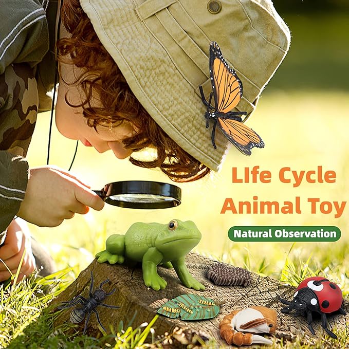 Montessori Life Cycle Animal Figures with Flash Cards, Realistic Animal Figurines Toy, Educational Matching Game for 3+ Year Old Toddlers Kids (Turtle)