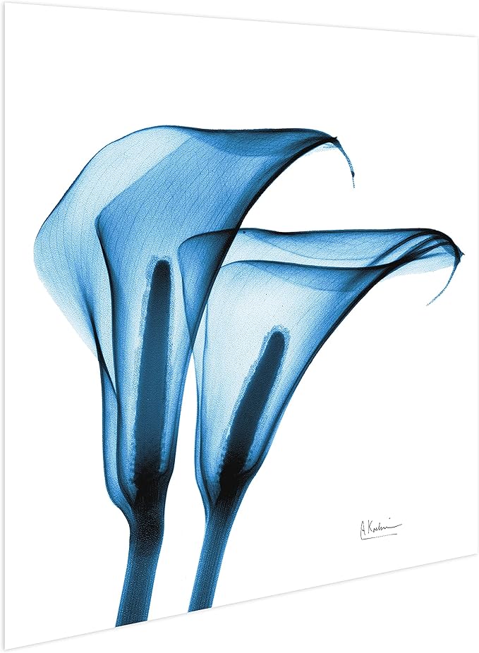 Empire Art Direct Frameless Free Floating Tempered Glass Panel Graphic Wall Art Ready to Hang, 24" x 24", Indigo Calla Lililes, Blue Flower