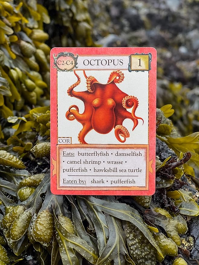 Ecologies: Hidden Habitats - Use Science to Build Food Webs in 7 Biomes - Beautiful Vintage Nature Art for The Classroom or Game Night