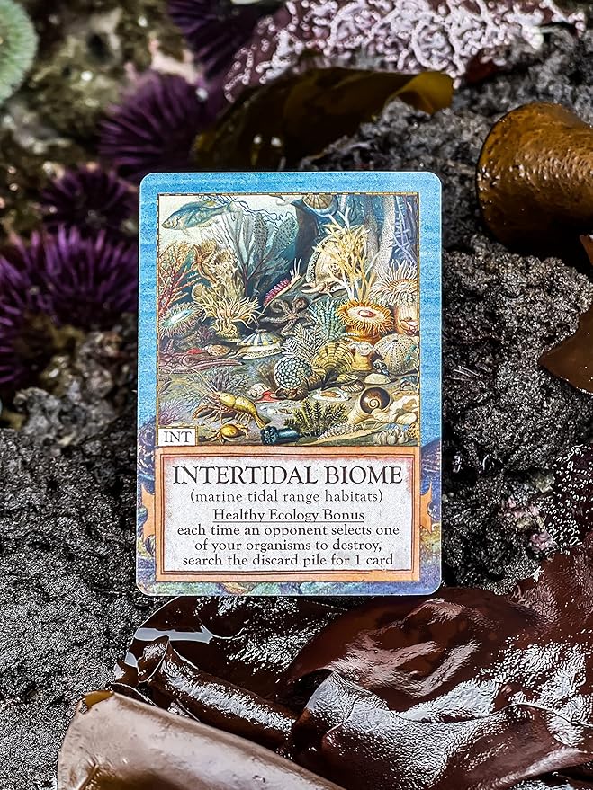 Ecologies: Hidden Habitats - Use Science to Build Food Webs in 7 Biomes - Beautiful Vintage Nature Art for The Classroom or Game Night