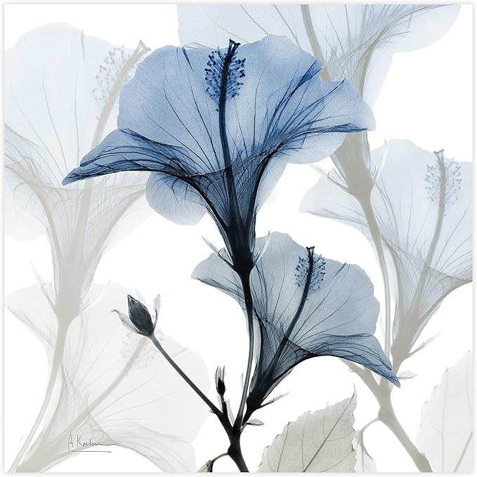Empire Art Direct Frameless Free Floating Tempered Glass Panel Graphic Wall Art Ready to Hang, 24" x 24", Blue X-ray Floral, Flower wall art