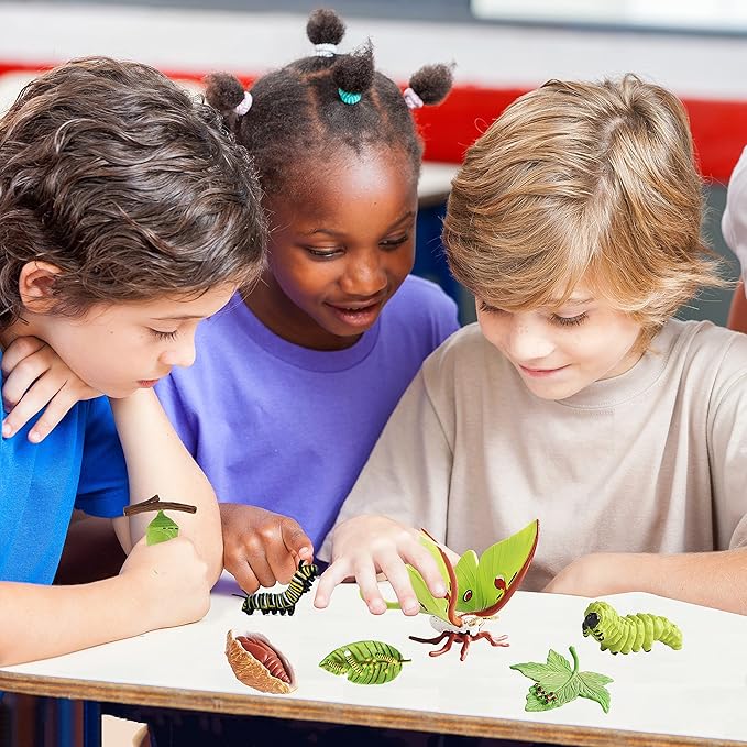 8PCS Life Cycle Figurines of Monarch Butterfly and Actias Ningpoana, Realistic Education Insects Life Cycle Toys, Caterpillar to Butterfly Kit Growth Life Stages Figures for Learning and Teaching Aids