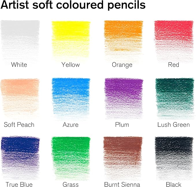 Winsor & Newton Studio Collection Artist Pencils, Color Pencils, Set of 12